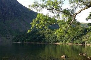 Photo for The Great Outdoors