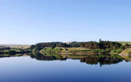 Photo: Coldwell reservoir with a perfect reflection of trees in the still water
