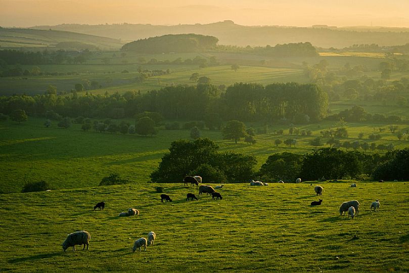 York countryside with grazing animals and rolling hills